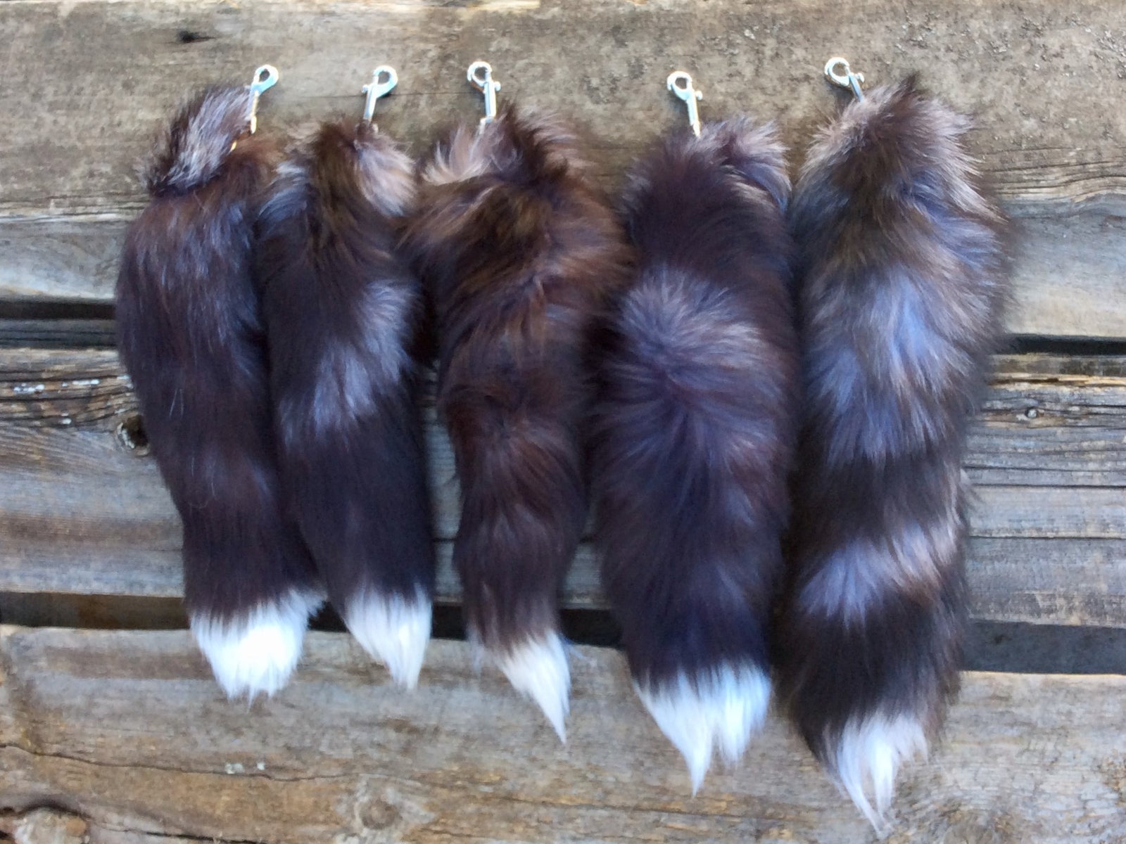 Silver Fox Tails
